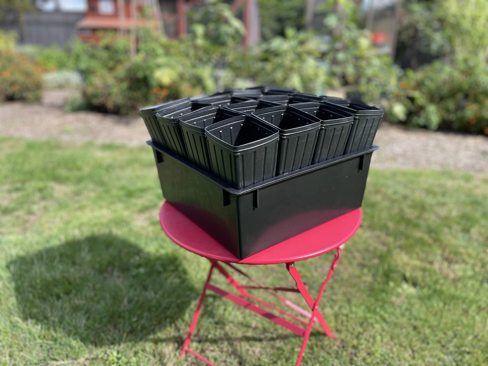Treepot Tray and (16) 4