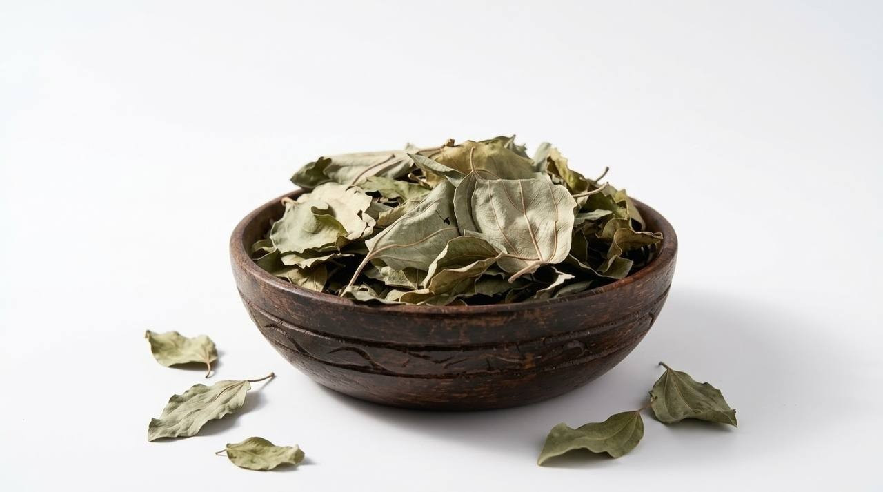 Organic DRIED SIDR Seder LEAVES Natural 100g | 3.5oz ورق السدر مجفف Holy Land