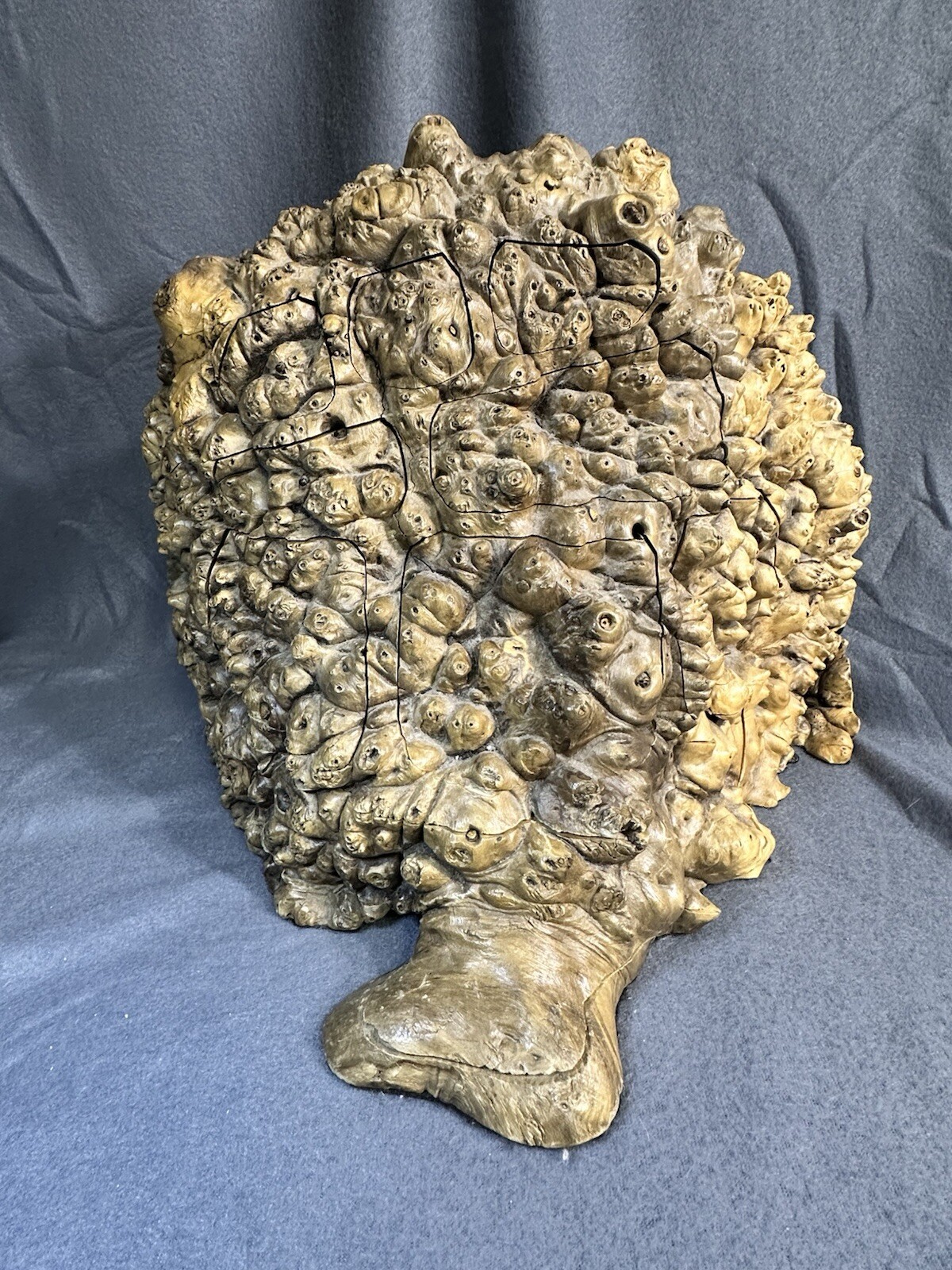 Buckeye Burl Wood Jewelry Box Trinket Handcrafted 10 Drawer rare HTF MCM VTG Buckeye Burl Wood Jewelry Box Trinket Handcrafted 10 Drawer rare HTF MCM VTG