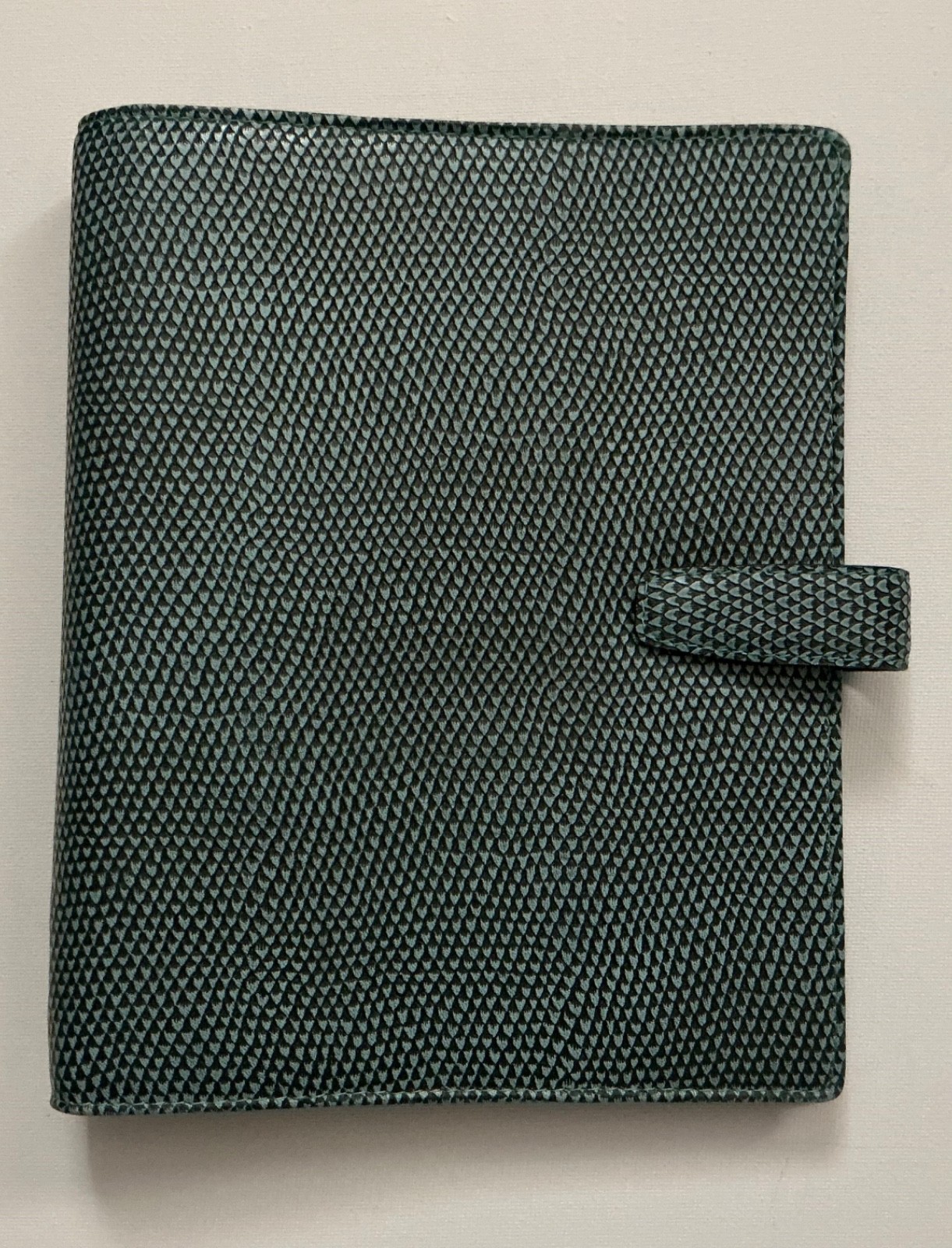 Vintage Filofax A5 Chameleon  Organizer | Aqua Leather 6-Ring Binder