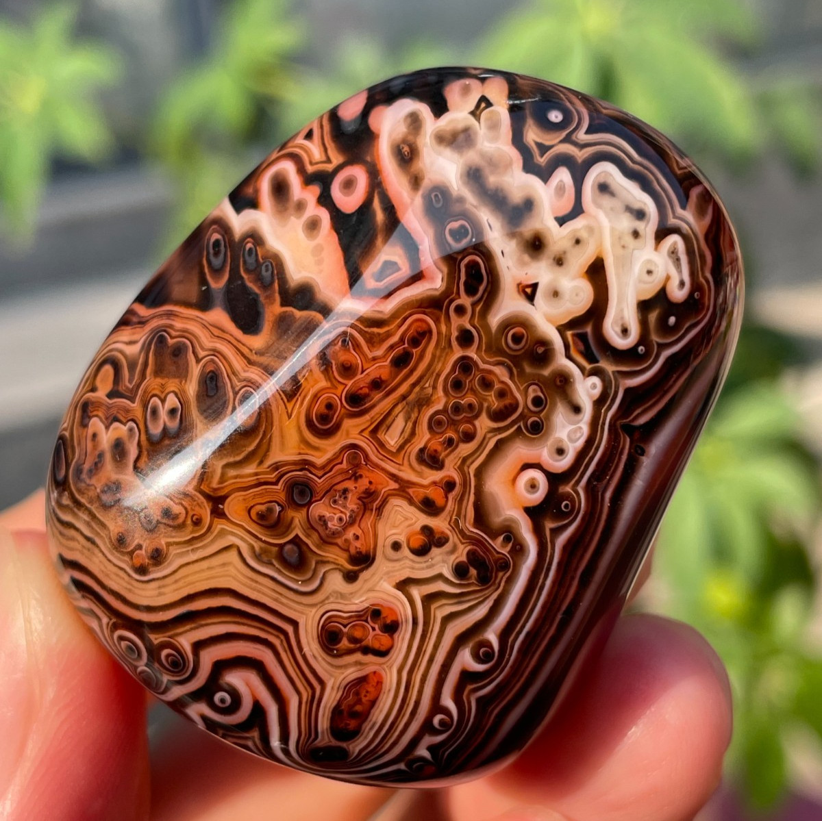 65g Natural Banded Agate Carnelian Polished Palm Stone Crystal Specimem Healing 65g Natural Banded Agate Carnelian Polished Palm Stone Crystal Specimem Healing