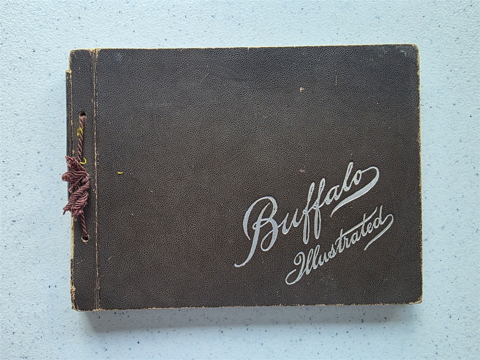 Buffalo New York Antique 1898 Book Portfolio of Photographs, 31 Photogravures