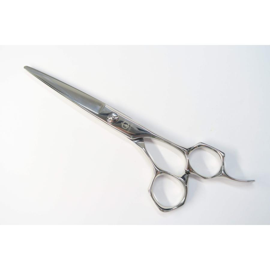 Mizutani Scissors 6.0 inch Hair Cutting Scissors RH Barber Hairdressers JP