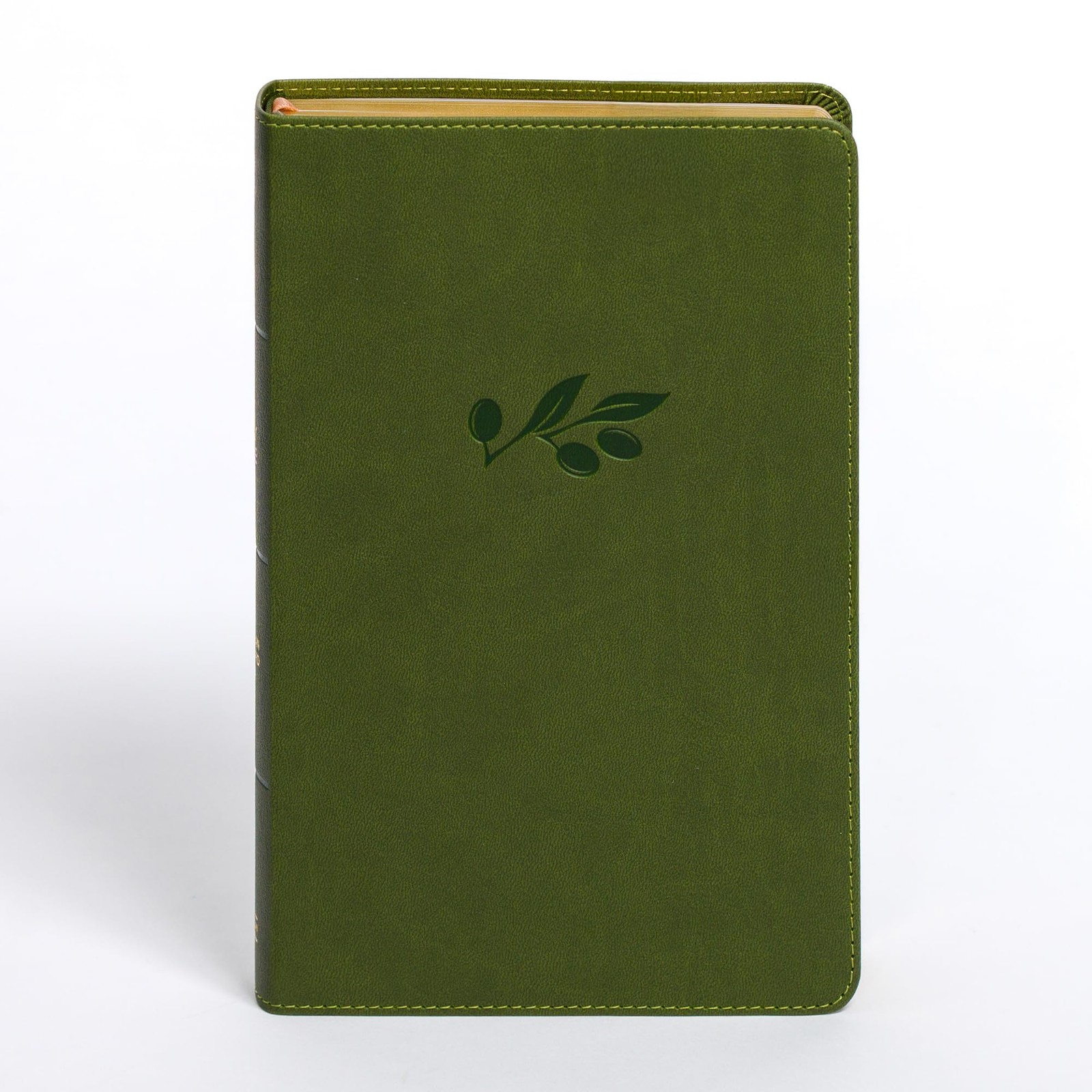 CSB Personal Size Giant Print Bible, Olive LeatherTouch, Red Letter, Present...