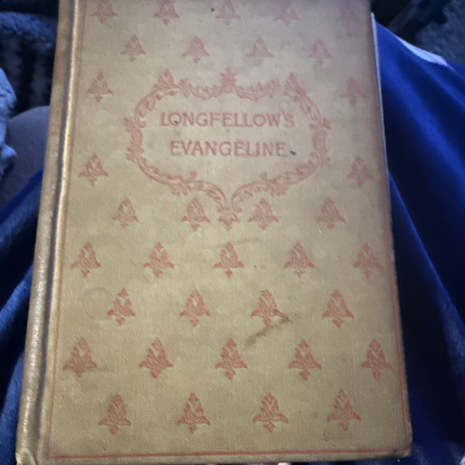 Longfellow\'s Evangeline by Henry Wadsworth Longfellow [Riverside Press · 1894]