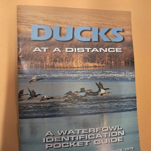 DUCKS AT A DISTANCE POCKET GUIDE DUCKS AT A DISTANCE POCKET GUIDE