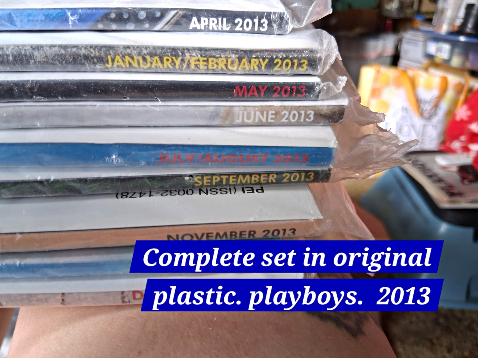 1980-1990 Complete Years(all Issues Plus Centerfolds)