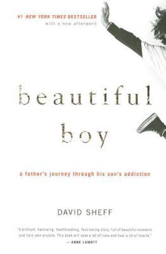 Beautiful Boy: A Father\'s Journey Through His Son\'s Addiction by David Sheff