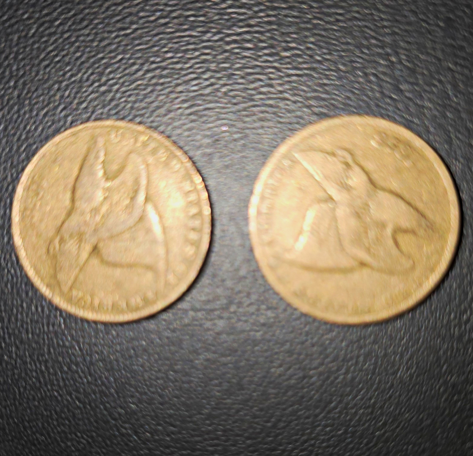 Indian Head Small Cent Lot of 2 Coins BN Bronze Business Strike Indian Head Small Cent Lot of 2 Coins BN Bronze Business Strike