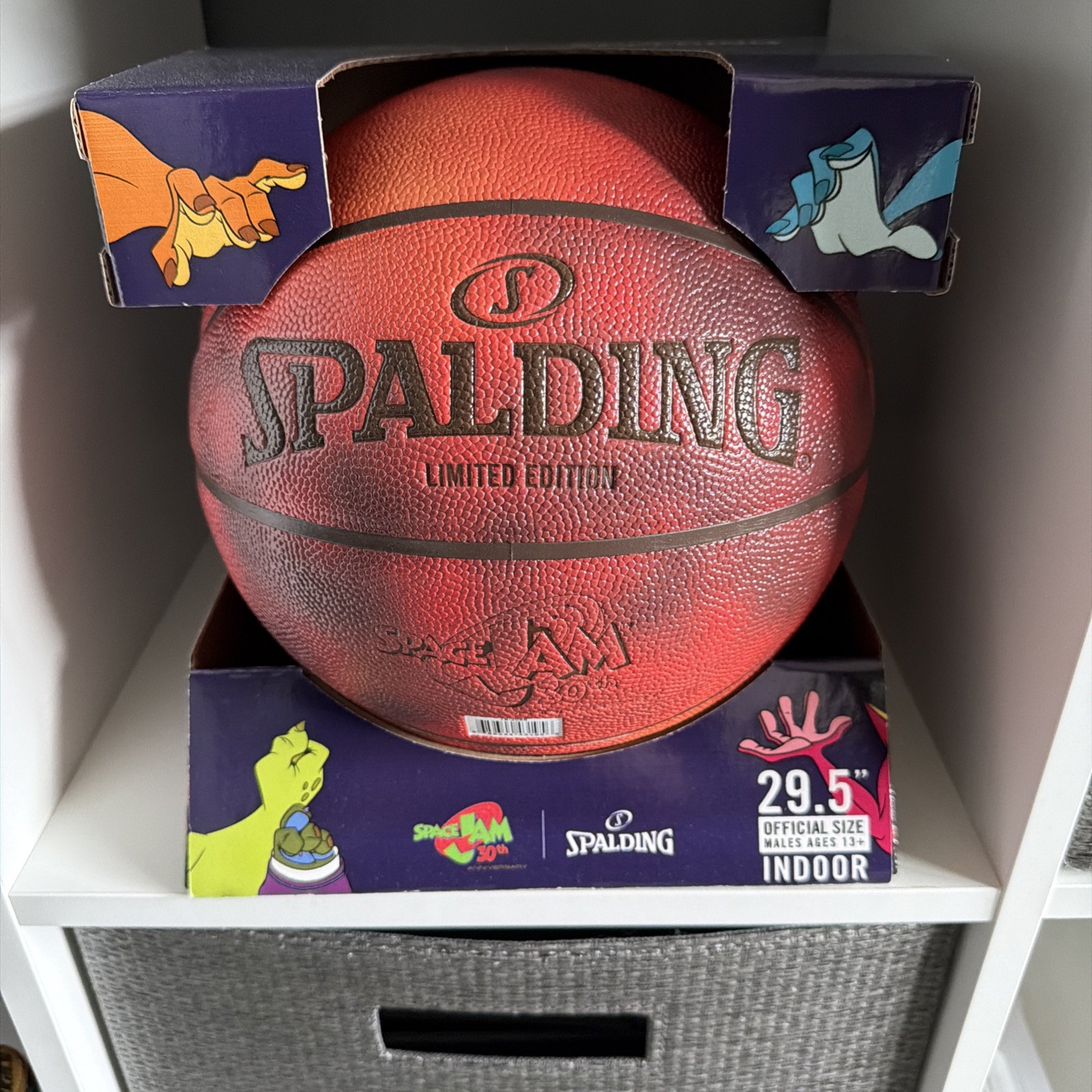 Space Jam 30th Anniversary Spalding 29.5\ Space Jam 30th Anniversary Spalding 29.5\
