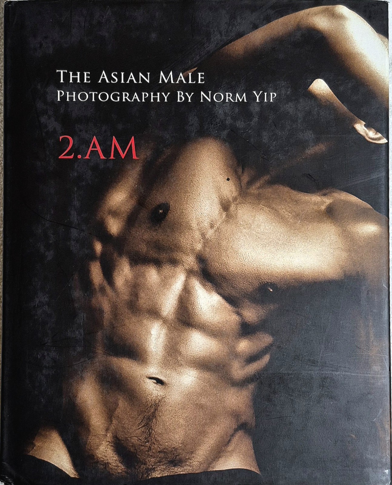 Norm Yip • The Asian Male: 2.am  (2007 • Studio 8 • Hardcover)