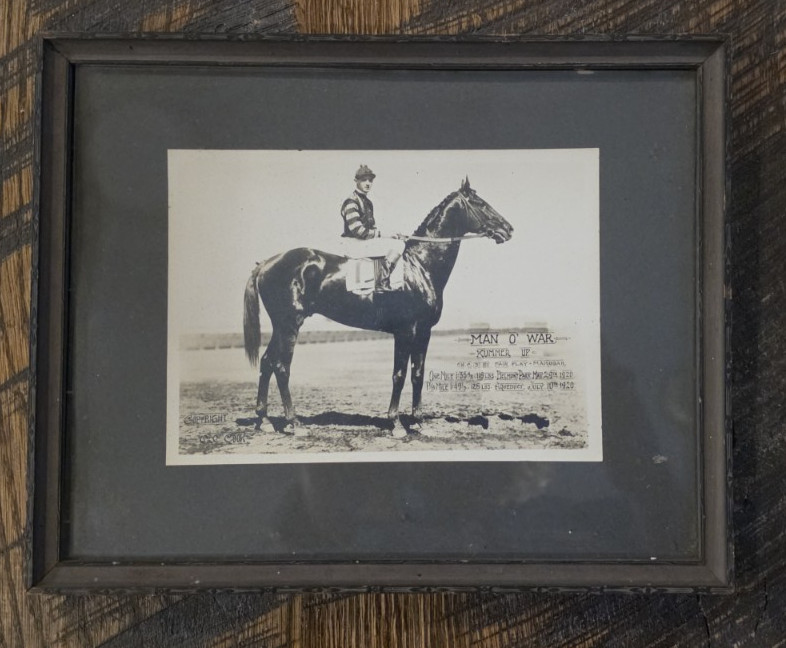 Original Antique C.C. Cook Photo - Man o' War with 1920 American/Track Records