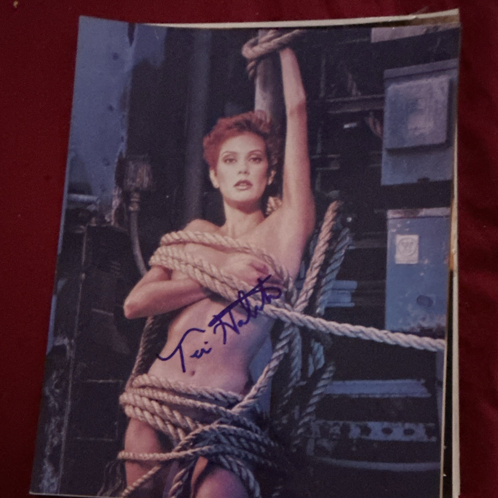 Vintage Signed 8 X 10 Autograph Teri Hatcher Photo Vintage Signed 8 X 10 Autograph Teri Hatcher Photo