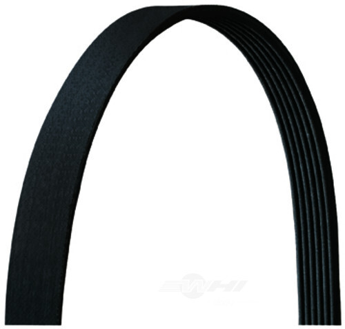 Serpentine Belt  Dayco  5060955DR