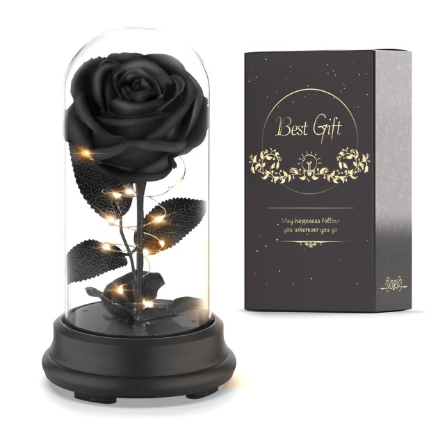 Deluxsa Forever Preserved Black Rose Birthday Gifts for Women,Eternal Flower Gif