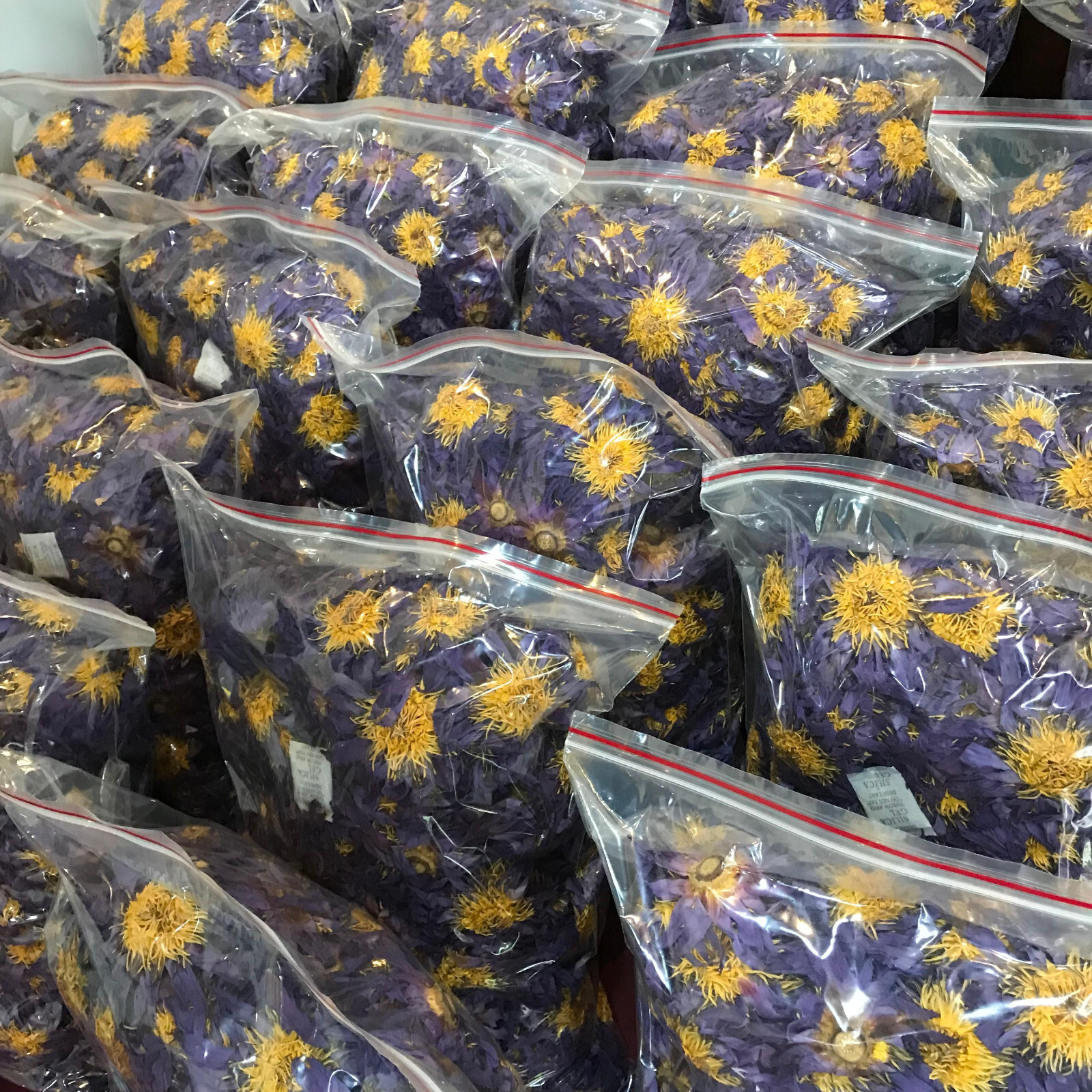 Blue Lotus |Nymphaea Caerulea| 100% Organic Herbal Hand Picked Pure Flowers Tea Blue Lotus |Nymphaea Caerulea| 100% Organic Herbal Hand Picked Pure Flowers Tea
