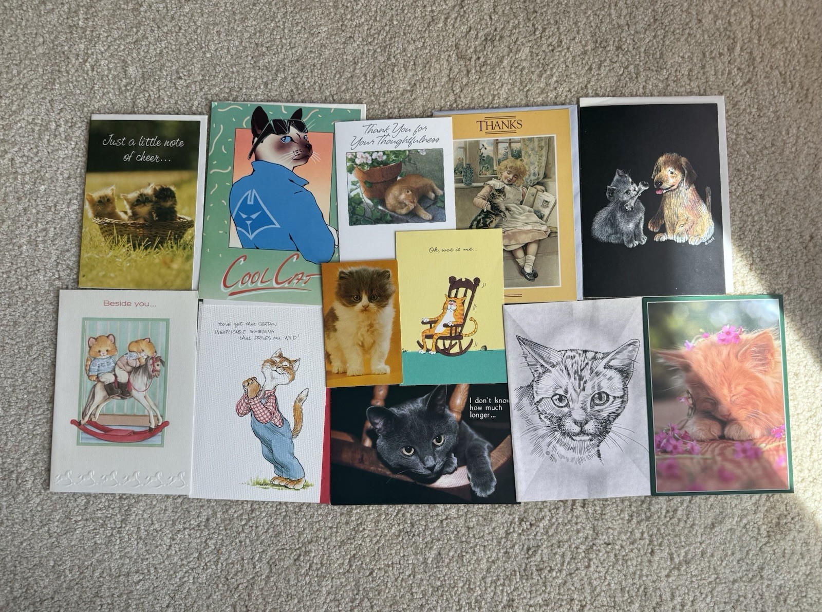 50+ Vintage Cat Kitten Greeting  Card Lot  White Tiger Black  Unused