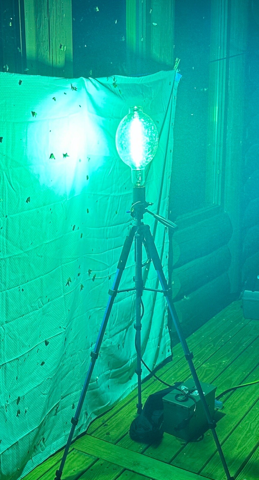 Most Powerful Moth collecting light Setup  1000 Watt Only 1 on Ebay Wow