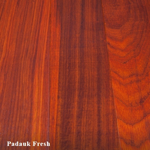 10 BOARD FEET STUNNING KILN DRIED 8/4 PADAUK LUMBER WOOD FAS GRADE