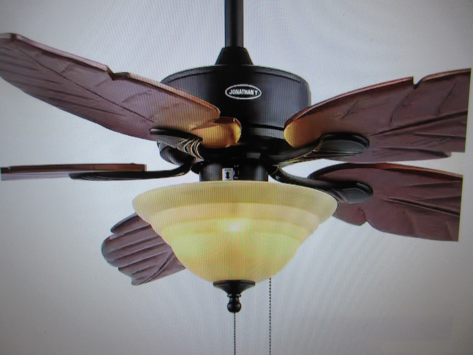 Jonathan Y Poinciana 52 in. 3-Light Coastal Bohemian Dark Brown Iron Ceiling Fan