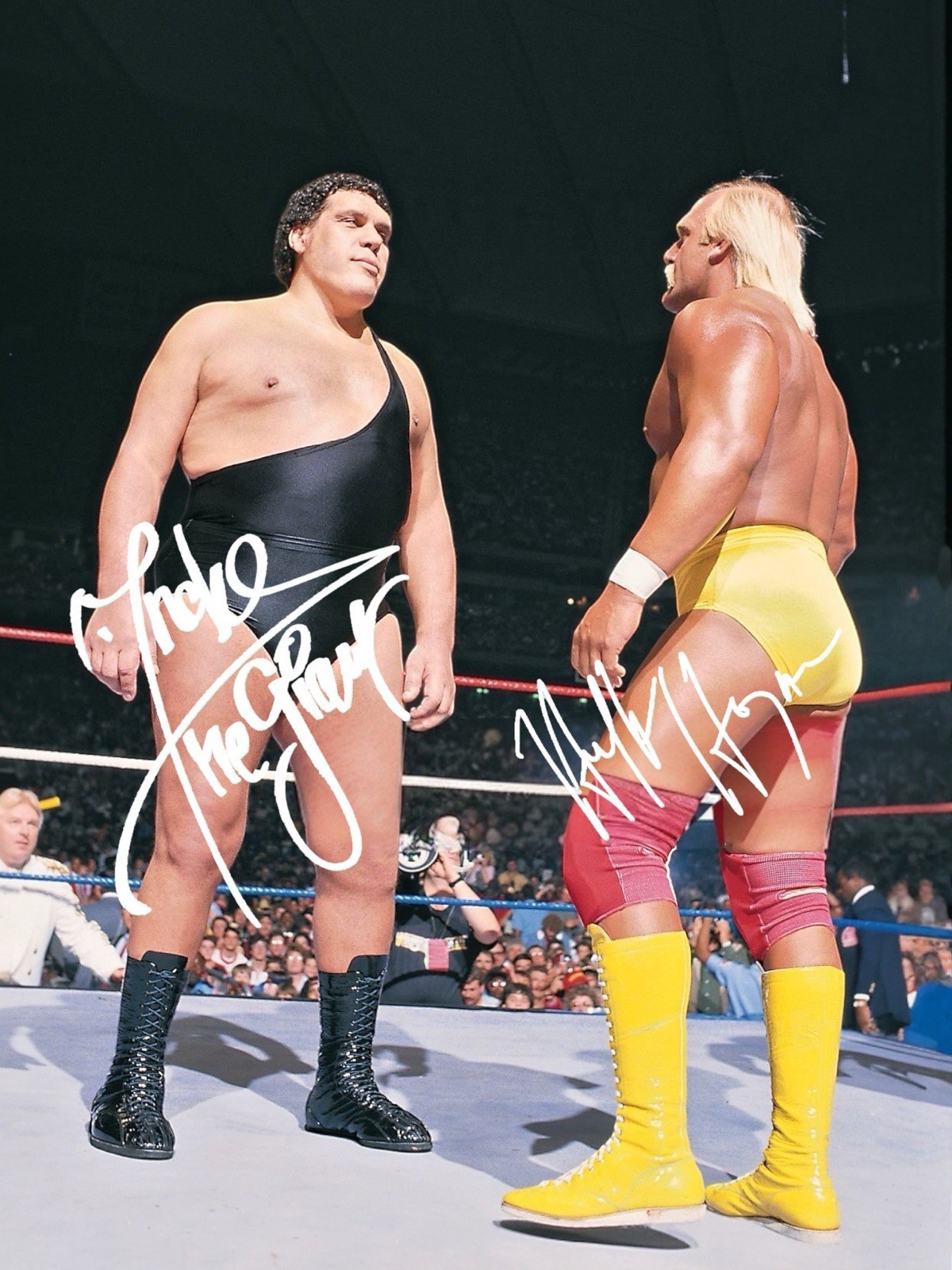 ANDRE THE GIANT HULK HOGAN 8.5X11 SIGNED PHOTO AUTOGRAPH WWE POSTER REPRINT