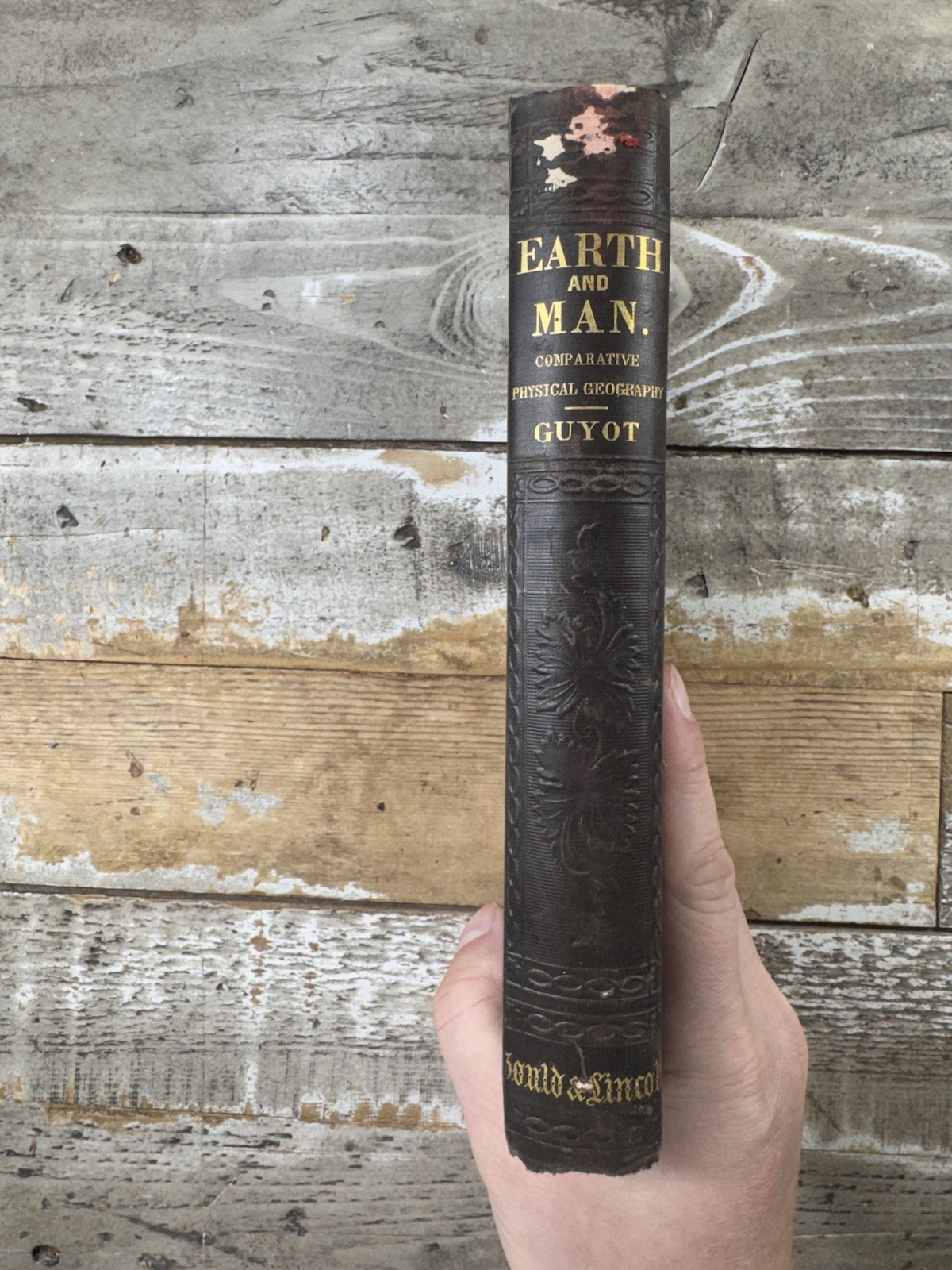 1873 Antique Geography Book “The Earth and Man: Physical Geography” Arnold Guyot