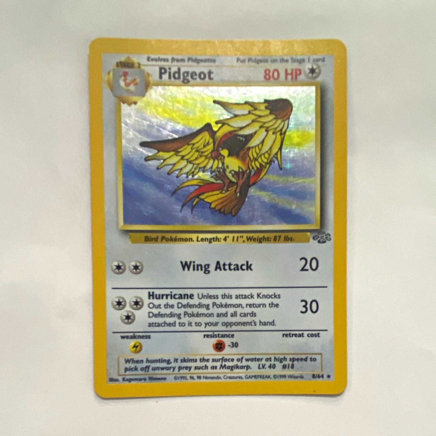 Wizards of the Coast Pidgeot 8/64 Jungle Holo Rare Unlimited 80 HP English 1999