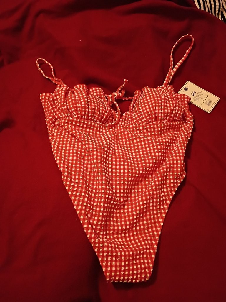 Lee Kacey Musgraves Red Gingham Swimsuit Lee Kacey Musgraves Red Gingham Swimsuit