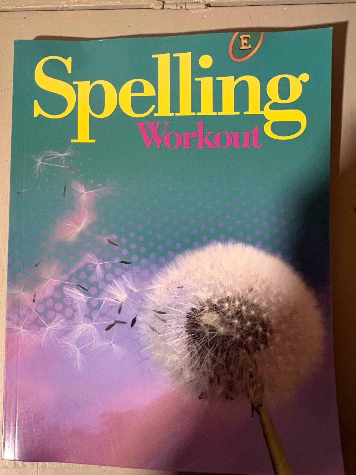 Spelling Workout by Phillip Trocki  LEVEL E Student Book