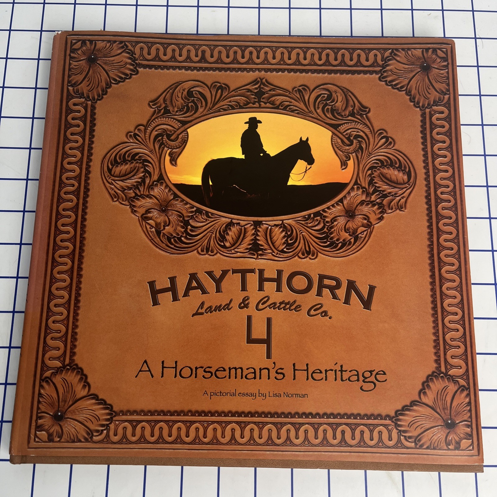 Haythorn Land & Cattle Co. A Horseman\'s Heritage by Lisa Norman 2007 HC DJ Haythorn Land & Cattle Co. A Horseman\'s Heritage by Lisa Norman 2007 HC DJ