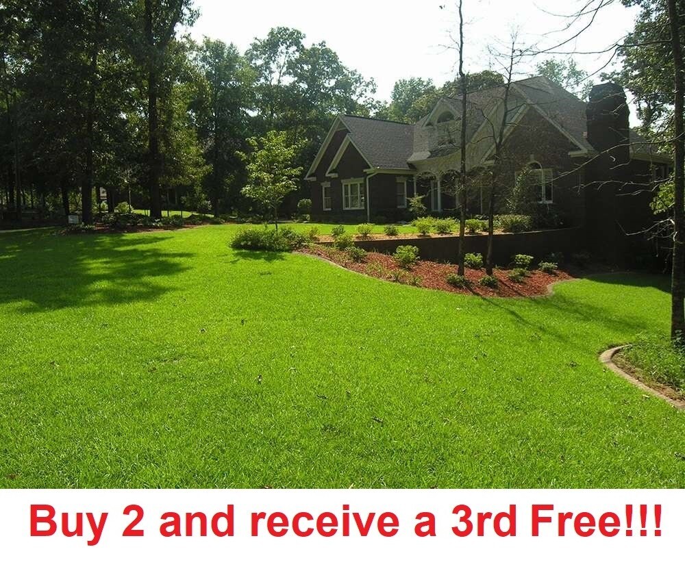 Centipede Grass Seeds - 4 ounce bag - can cover up to 1250 sq feet