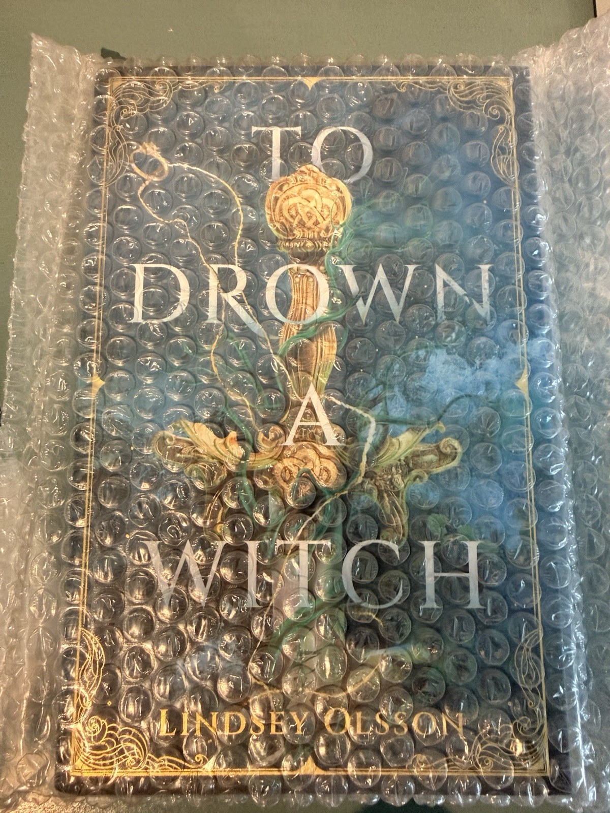FairyLoot August 2026 YA To Drown A Witch Exclusive Edition