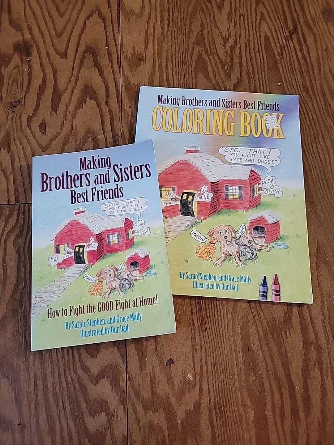 Making Brothers And Sisters Best Friends Book And Coloring Book
