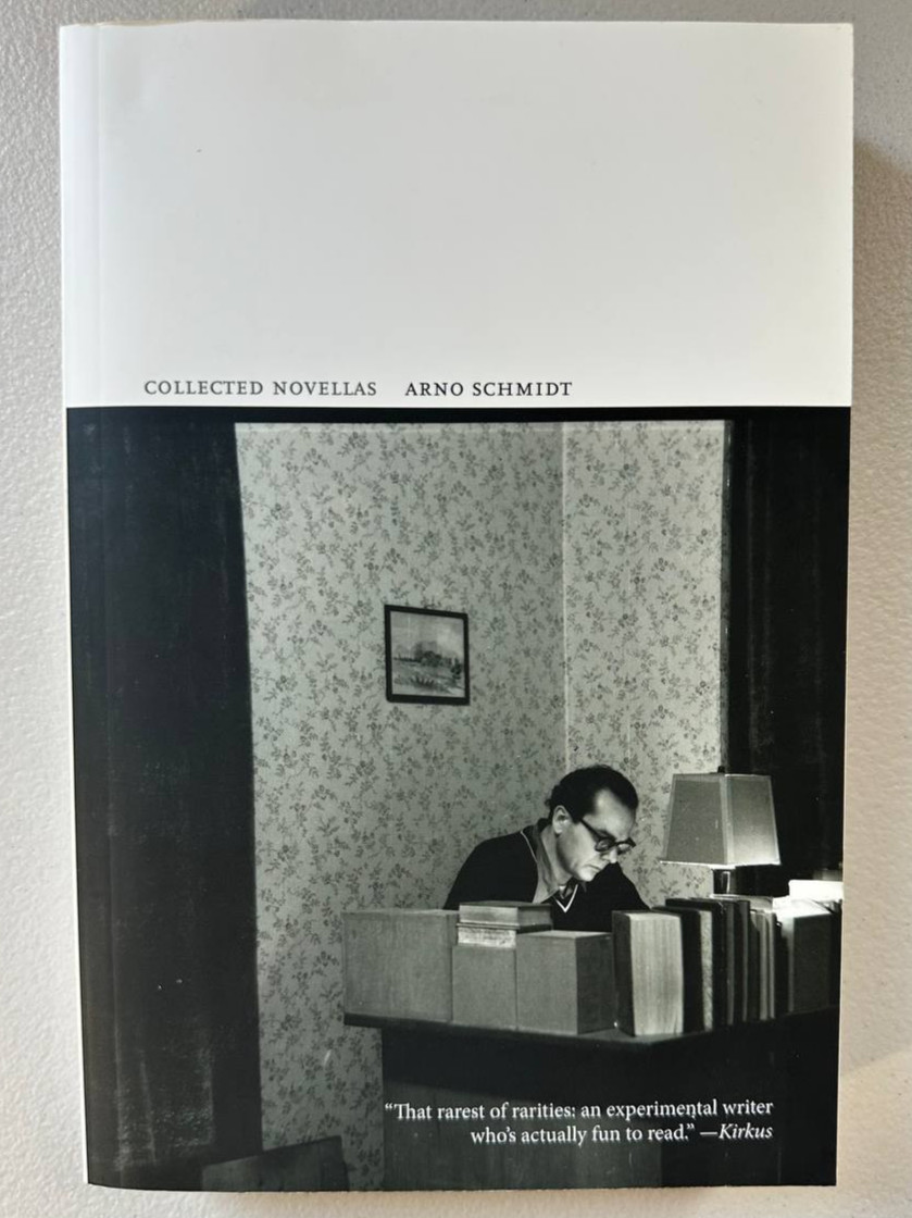 Collected Novellas Arno Schmidt 1994 Dalkey Archive Press Paperback Rare