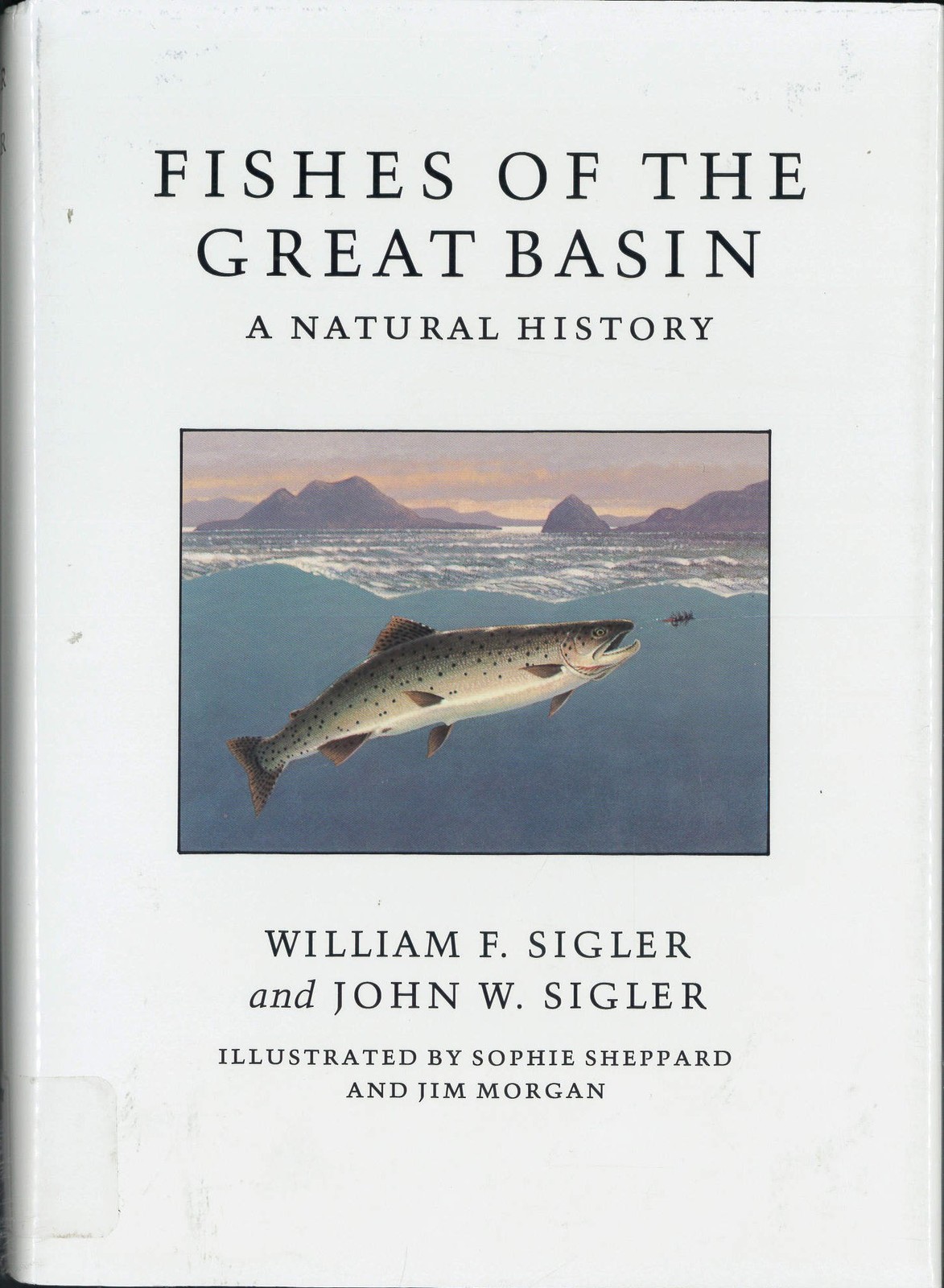 Fishes of the Great Basin by John W. Sigler - Hardcover - GOOD Fishes of the Great Basin by John W. Sigler - Hardcover - GOOD