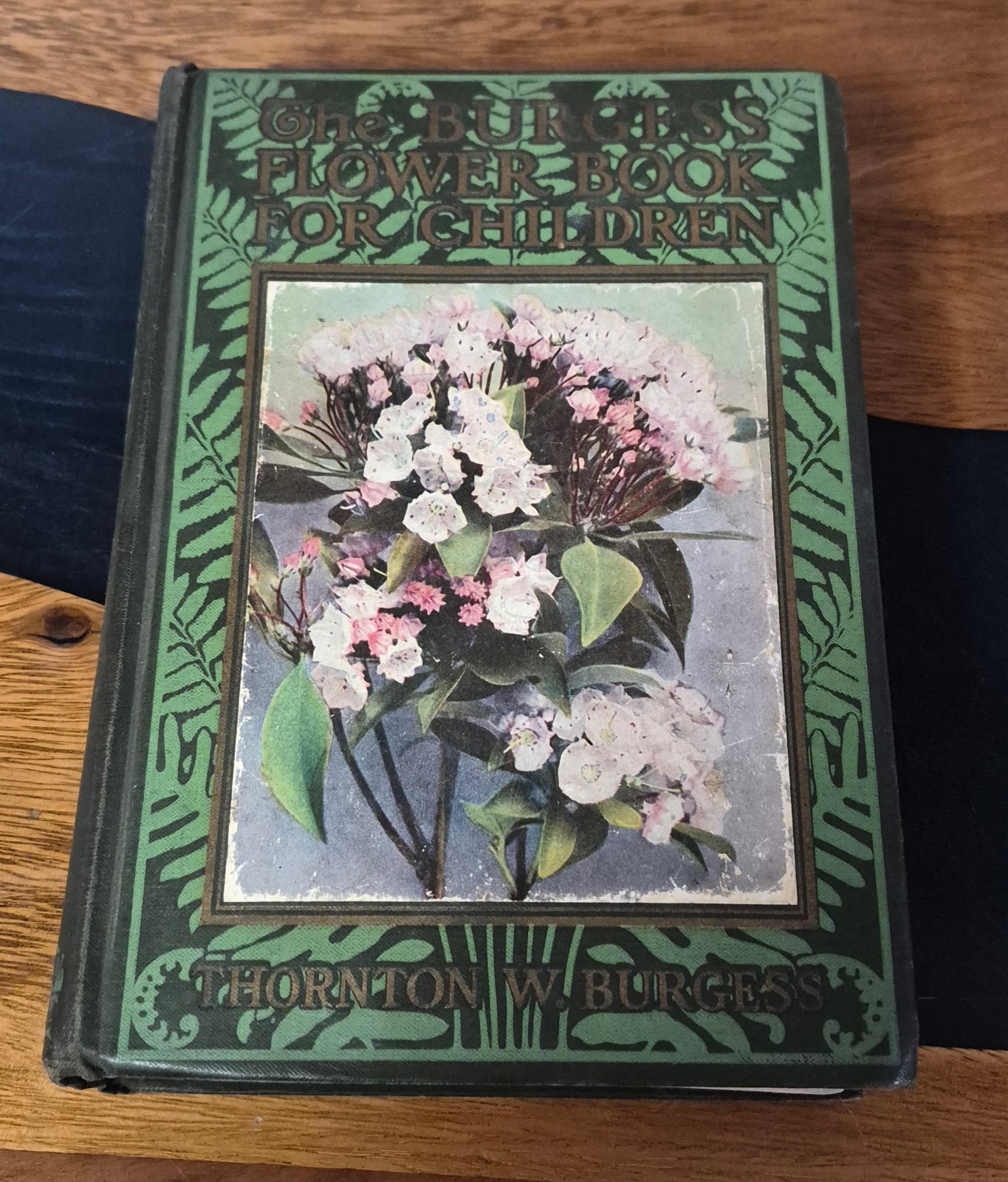 TRUE 1ST EDITION 1923 The Burgess Flower Book for Children - Thornton Burgess HC