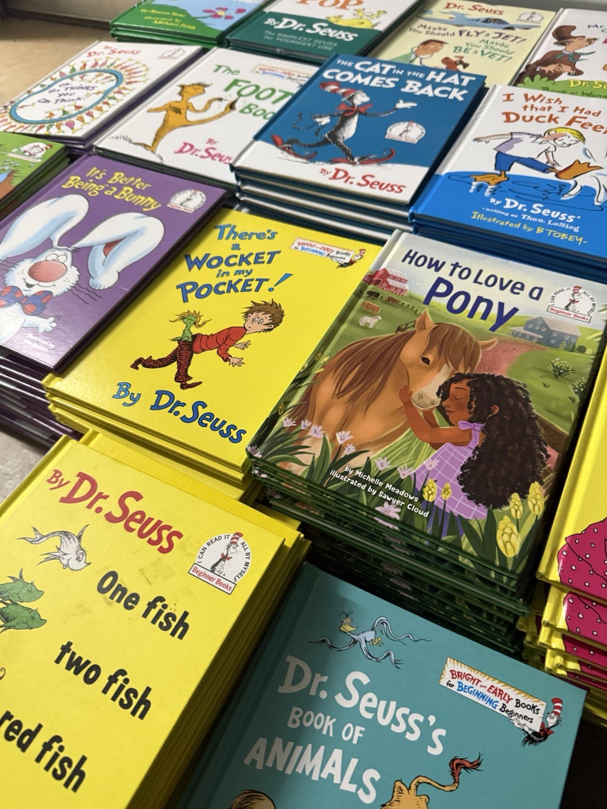 Dr Seuss Lot of 20 Beginners Books All Unique Titles Hardcover  Classroom