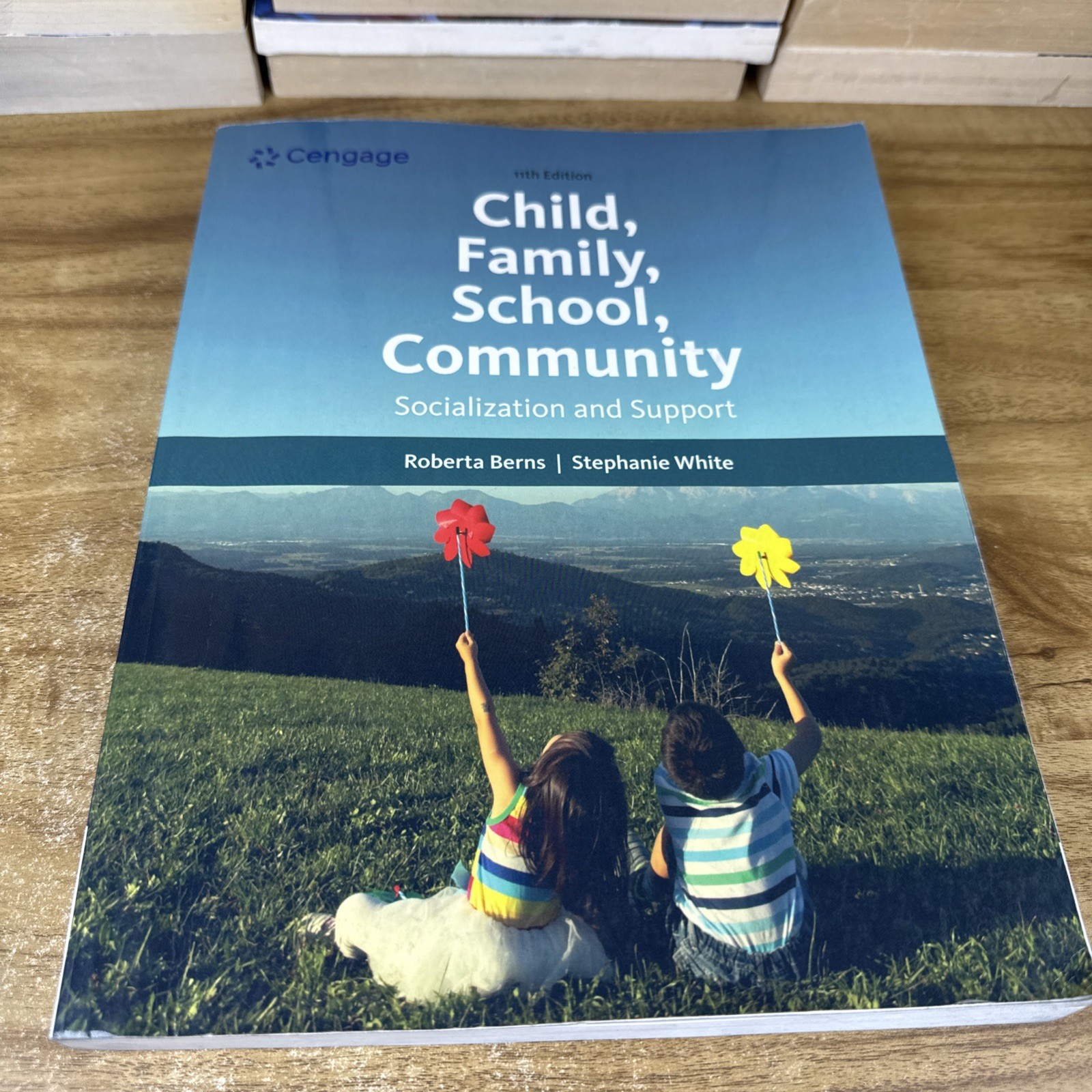 Child, Family, School, Community: Socialization and Support - Paperback - GOOD Child, Family, School, Community: Socialization and Support - Paperback - GOOD