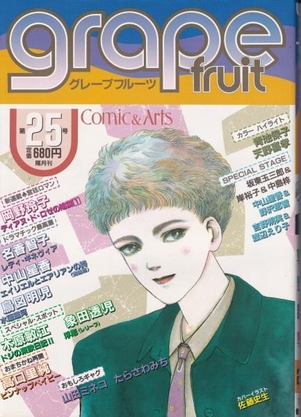 Vintage December 1985 Grape Fruit Issue No.25 Yoshitaka Amano Fumio Sato etc. JP