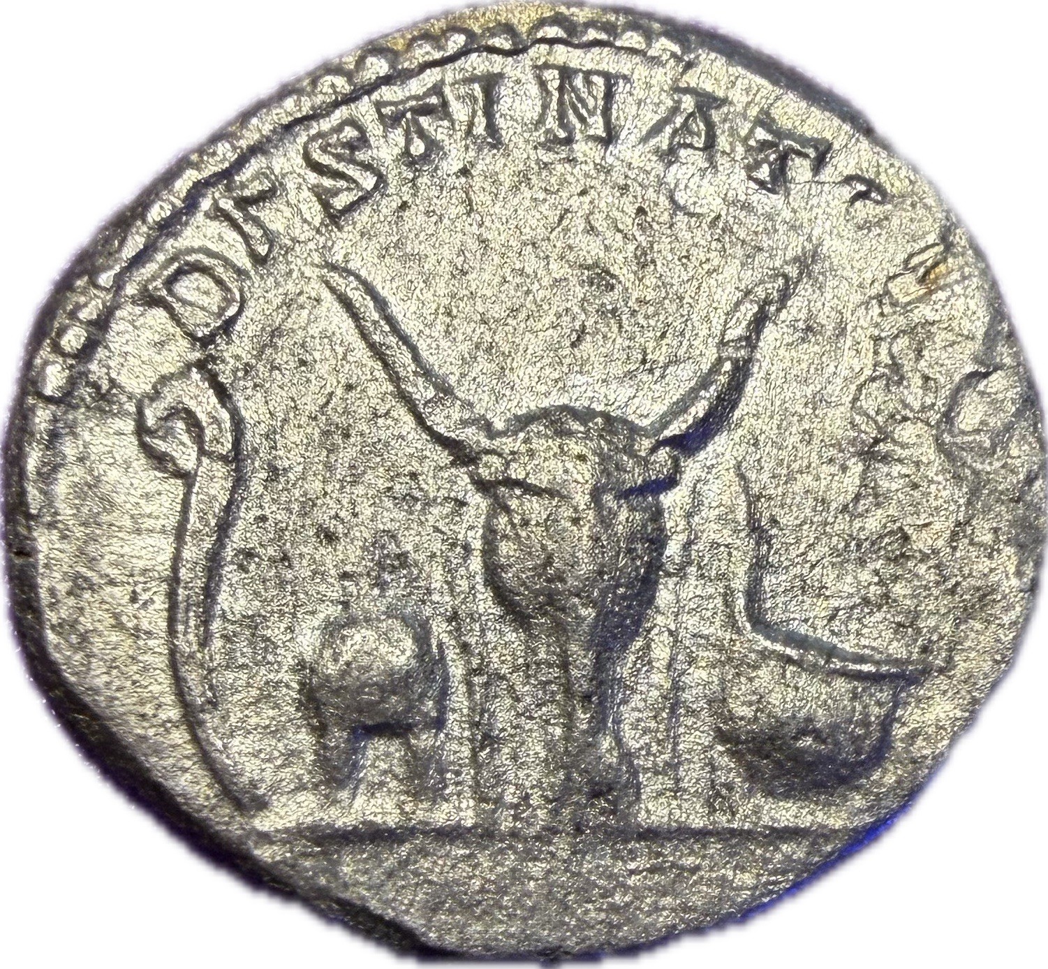 Ancient Caracalla Coin AR Denarius Scarce DESTINATO IMPERAT Bull Skull RIC 6