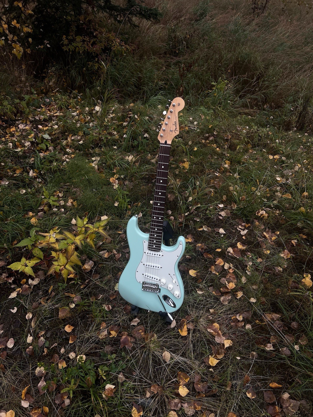 Fender Stratocaster Made In Japan Junior Collection Stratocaster Surf Green 24in Fender Stratocaster Made In Japan Junior Collection Stratocaster Surf Green 24in