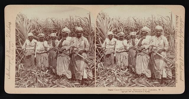 Photo:Montego Bay Jamaica 1900 Sugar Cane Field Hands Laborers