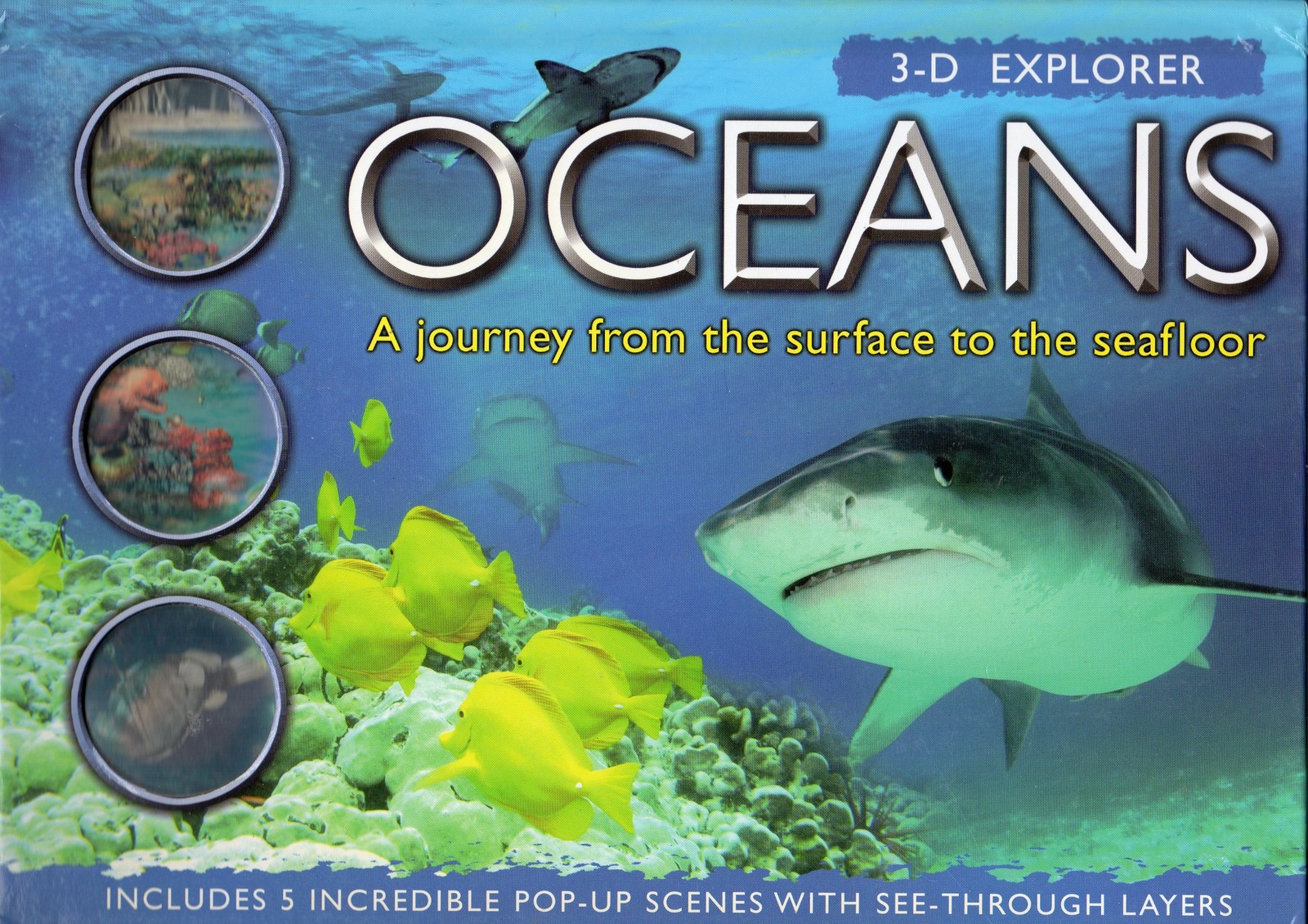 3-D Explorer: Oceans: A Journey from the Surface to the Seafloor 3-D Explorer: Oceans: A Journey from the Surface to the Seafloor