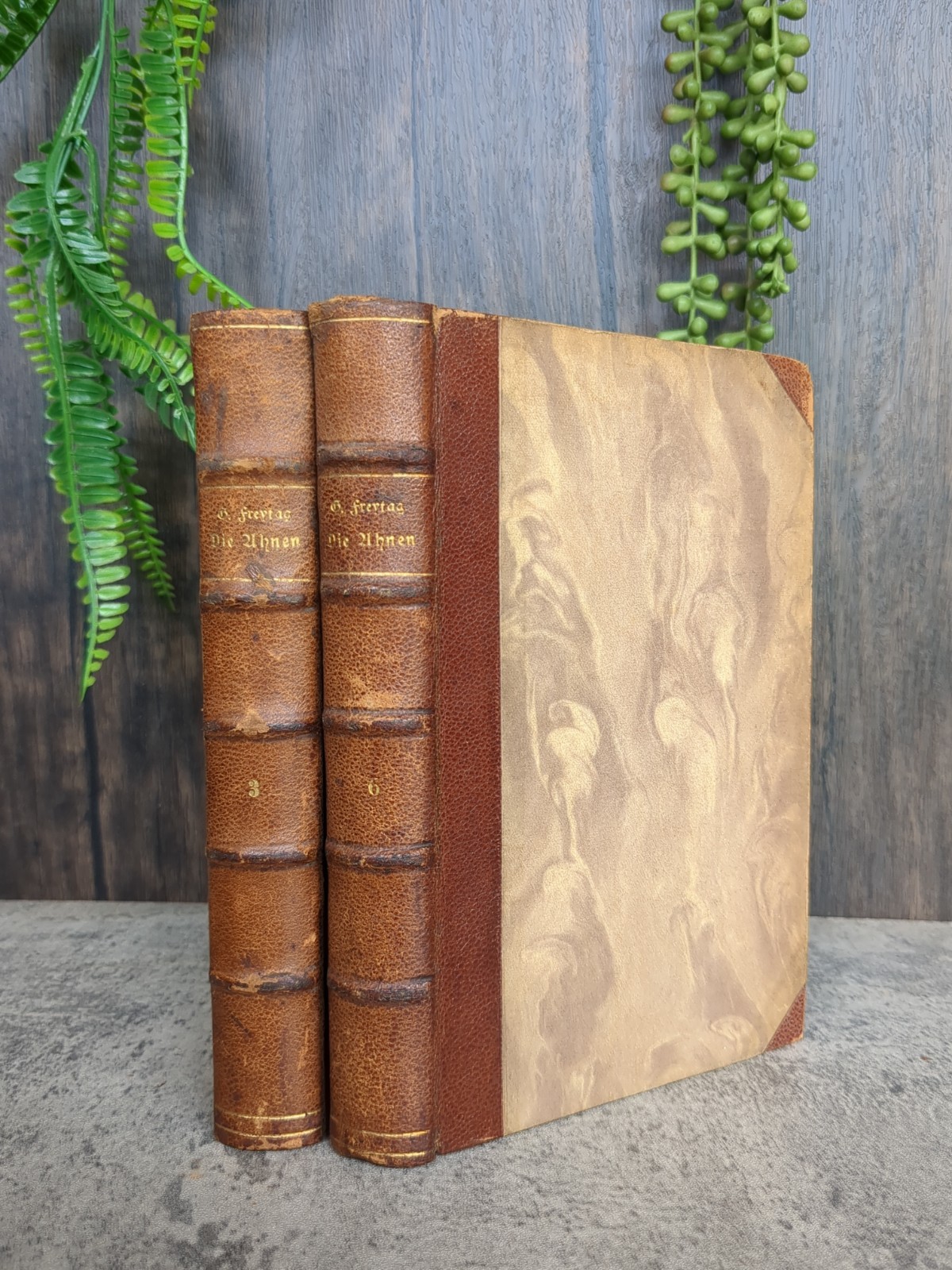 Die Ahnen Gustav Freytag 1923 - S. Hirzel Verlag - Volumes 3 and 6