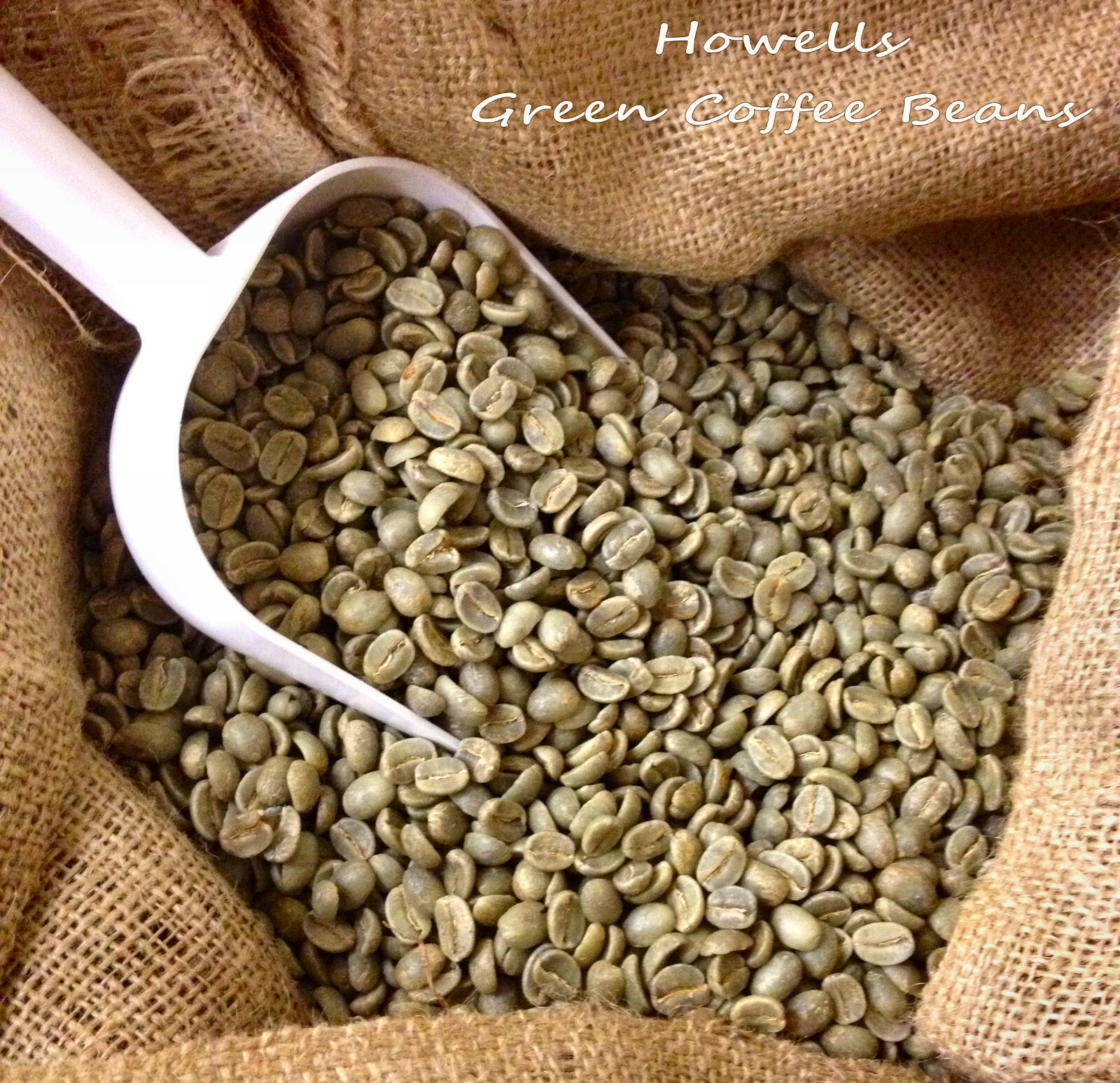 12 LBS Guatemala Huehuetenango SHB EP specialty grade green coffee beans
