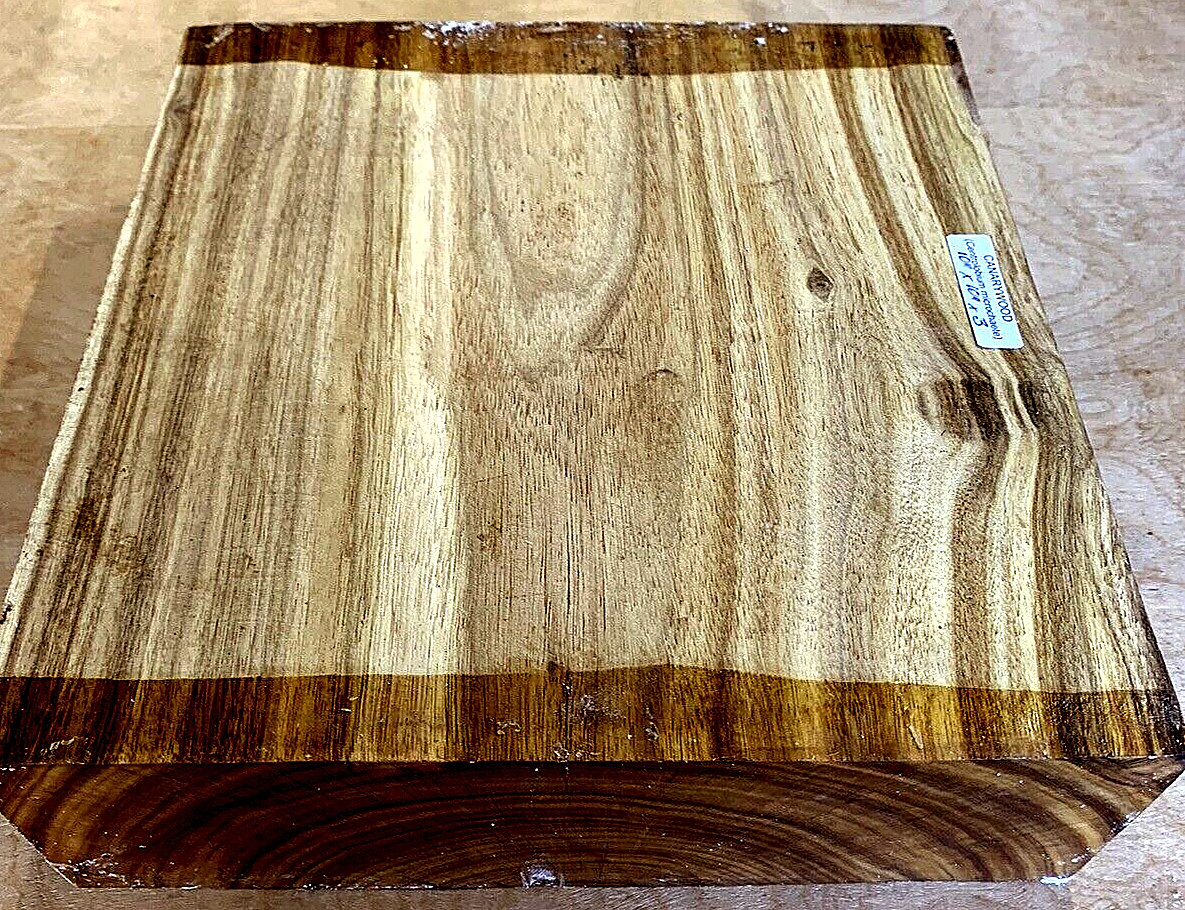 ONE BEAUTIFUL KILN DRIED CANARYWOOD BOWL BLANK TURNING WOOD LUMBER 8\
