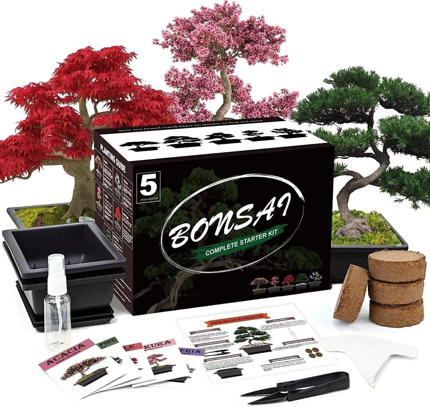 Complete Bonsai Starter Kit 5 Seed Varieties Indoor DIY Growing Beginner Gift Complete Bonsai Starter Kit 5 Seed Varieties Indoor DIY Growing Beginner Gift