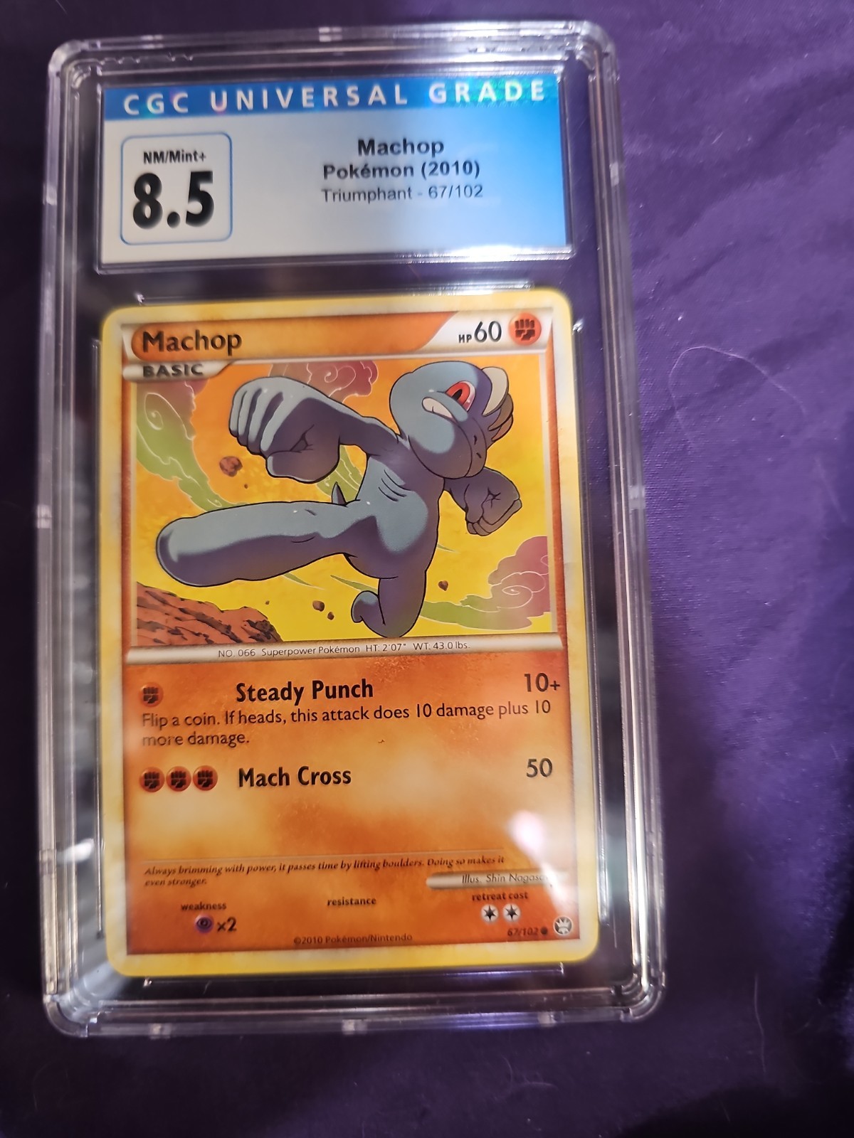 Machop 67/102 Triumphant Regular CGC Grade 8.5 Machop 67/102 Triumphant Regular CGC Grade 8.5