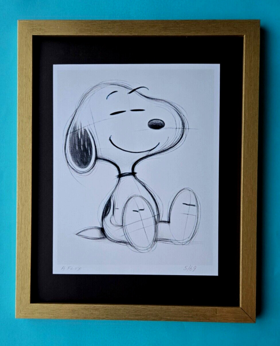 AIDAN FLUX | Hand Signed Original Print Framed Ltd. Ed.  COA SNOOPY Sketch