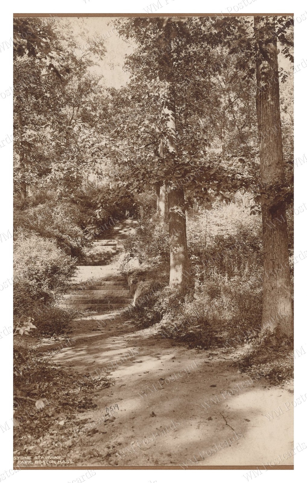 Boston Massachusetts 1906 Franklin Park Stone Stairway Standard Postcard